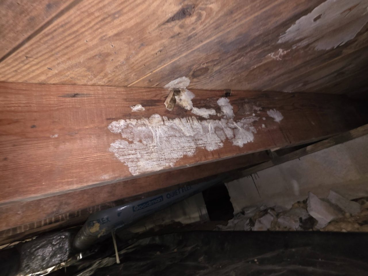 Also This Week: Tuckpointing, Channel Drains, Brick Repair, Crawl Spaces — photo 4