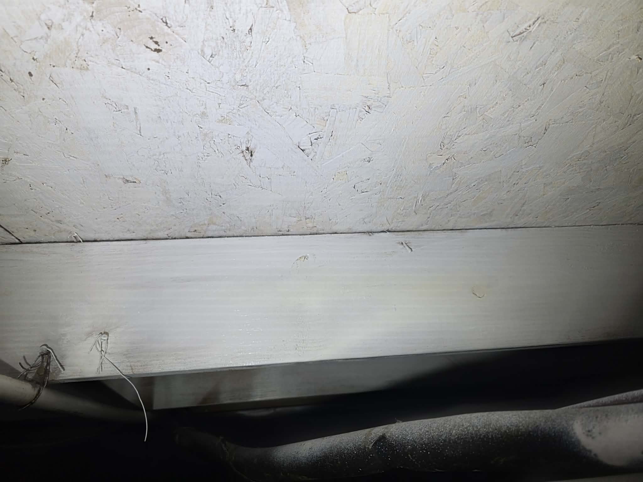 Mold remediation β fixed the source, not just the symptom β photo 1