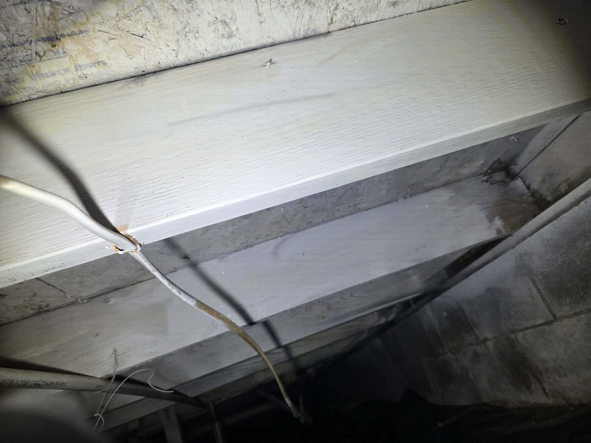 Mold remediation β fixed the source, not just the symptom β photo 2