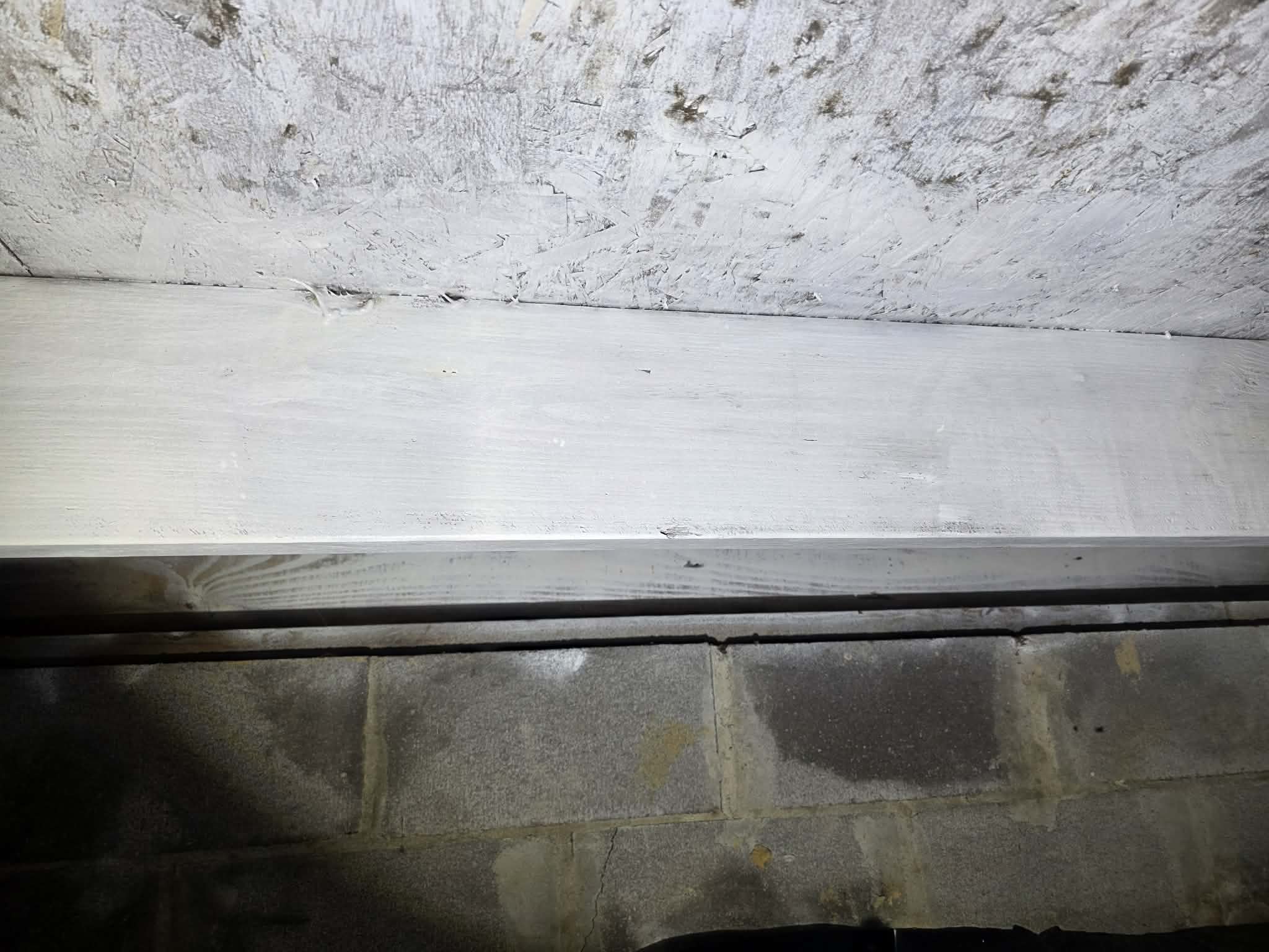 Mold remediation β fixed the source, not just the symptom β photo 3