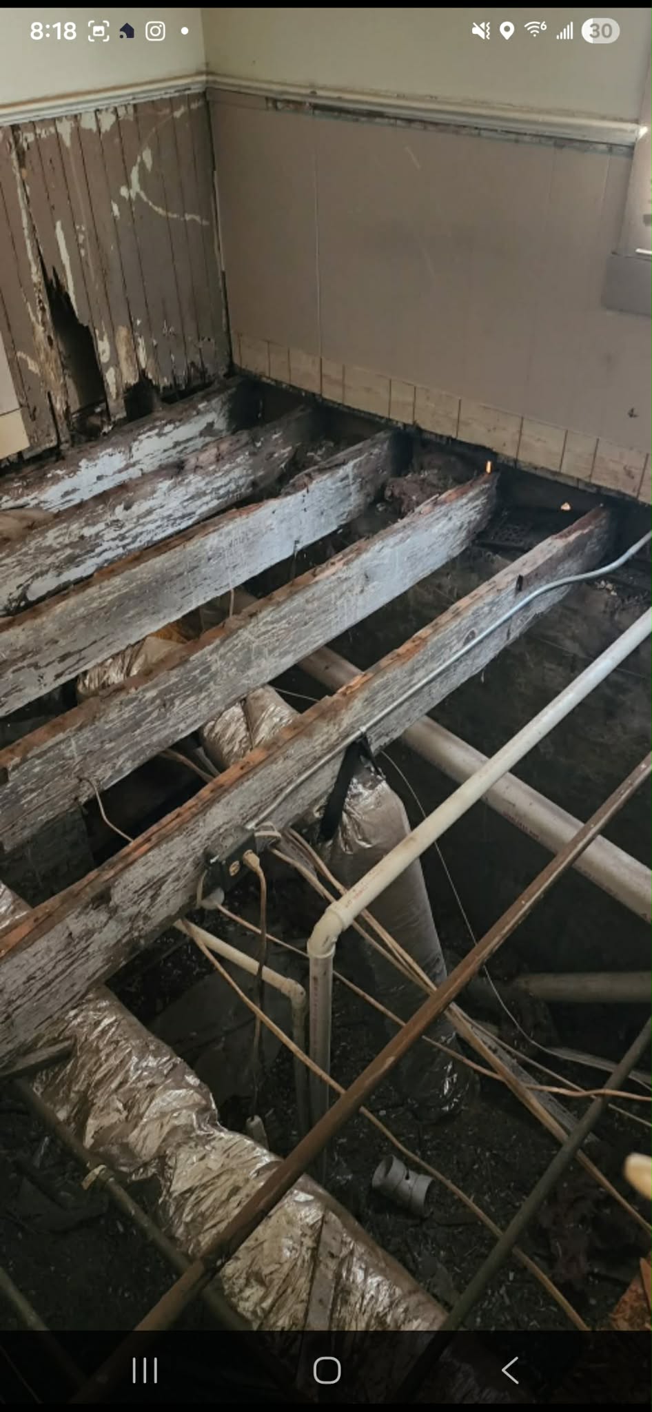 Floor Joist Repair — Sistering + Moisture Correction — photo 1